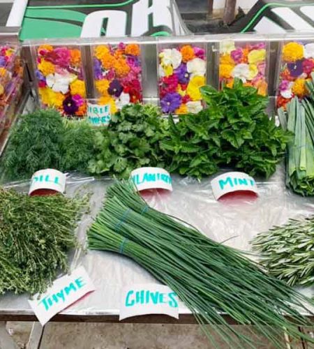 el_abuelo_organic_herb´s_27